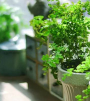 濮阳专属于你的开运指南，助你鸿运当头福满身！