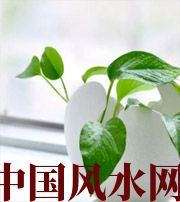 濮阳家中摆放六种吉祥物，会打开您的财运大门！